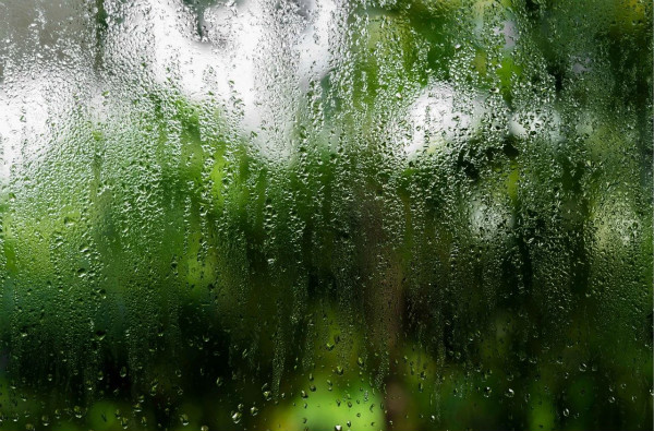 How to prevent condensation on doors and windows.